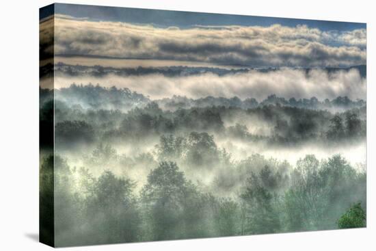 Gray Mist-Robert Goldwitz-Stretched Canvas