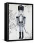 Gray Nutcracker II-Tiffany Hakimipour-Framed Stretched Canvas