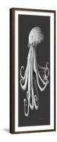 Gray on Gray Octopus 1-Megan Aroon Duncanson-Framed Premium Giclee Print