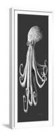 Gray on Gray Octopus 1-Megan Aroon Duncanson-Framed Premium Giclee Print