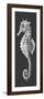Gray on Gray Seahorse 1-Megan Aroon Duncanson-Framed Premium Giclee Print