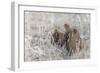 Gray Partridge-Ken Archer-Framed Photographic Print