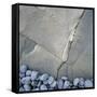 Gray Pebbles and Boulder-Micha Pawlitzki-Framed Stretched Canvas