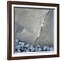 Gray Pebbles and Boulder-Micha Pawlitzki-Framed Photographic Print