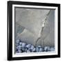 Gray Pebbles and Boulder-Micha Pawlitzki-Framed Photographic Print