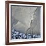 Gray Pebbles and Boulder-Micha Pawlitzki-Framed Photographic Print