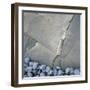 Gray Pebbles and Boulder-Micha Pawlitzki-Framed Photographic Print