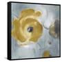 Gray Poppies in Bloom II-Lanie Loreth-Framed Stretched Canvas