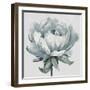 Gray Pretty Bloom-Patricia Pinto-Framed Art Print