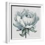 Gray Pretty Bloom-Patricia Pinto-Framed Art Print