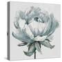 Gray Pretty Bloom-Patricia Pinto-Stretched Canvas