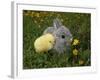 Gray Rabbit Bunny Baby and Yellow Chick Best Friends-Richard Peterson-Framed Photographic Print