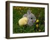 Gray Rabbit Bunny Baby and Yellow Chick-UroshPetrovic-Framed Photographic Print