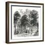 Gray's Inn Gardens, 1878-null-Framed Giclee Print