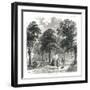 Gray's Inn Gardens, 1878-null-Framed Giclee Print