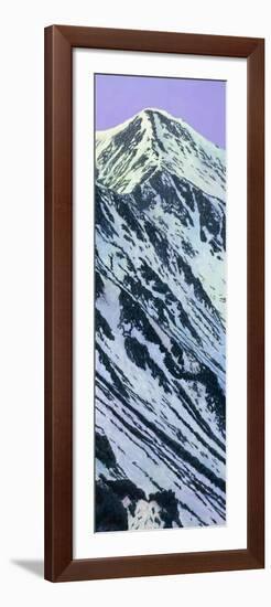 Gray's Peak in Winter-James W. Johnson-Framed Giclee Print