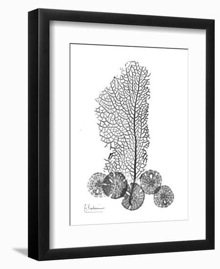 Gray Sea Xray-Albert Koetsier-Framed Art Print