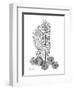 Gray Sea Xray-Albert Koetsier-Framed Art Print