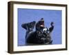 Gray Seal, (Halichoerus Grypus), Helgoland, Schleswig-Holstein, Germany-Thorsten Milse-Framed Photographic Print