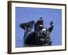 Gray Seal, (Halichoerus Grypus), Helgoland, Schleswig-Holstein, Germany-Thorsten Milse-Framed Photographic Print