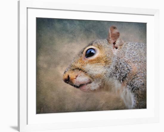 Gray Squirrel Portrait-Jai Johnson-Framed Giclee Print