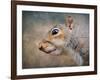 Gray Squirrel Portrait-Jai Johnson-Framed Giclee Print