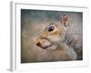 Gray Squirrel Portrait-Jai Johnson-Framed Giclee Print