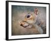 Gray Squirrel Portrait-Jai Johnson-Framed Giclee Print