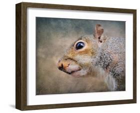 Gray Squirrel Portrait-Jai Johnson-Framed Giclee Print