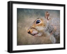 Gray Squirrel Portrait-Jai Johnson-Framed Giclee Print