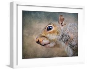 Gray Squirrel Portrait-Jai Johnson-Framed Giclee Print