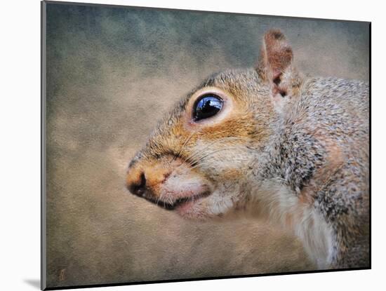 Gray Squirrel Portrait-Jai Johnson-Mounted Giclee Print
