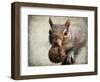 Gray Squirrel with Nut-Jai Johnson-Framed Giclee Print