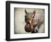 Gray Squirrel with Nut-Jai Johnson-Framed Giclee Print