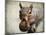 Gray Squirrel with Nut-Jai Johnson-Mounted Giclee Print