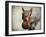 Gray Squirrel with Nut-Jai Johnson-Framed Giclee Print