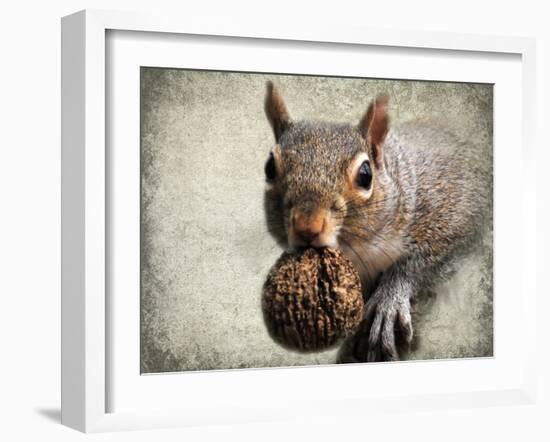 Gray Squirrel with Nut-Jai Johnson-Framed Giclee Print