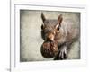 Gray Squirrel with Nut-Jai Johnson-Framed Giclee Print