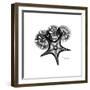 Gray Starfish 1-Albert Koetsier-Framed Art Print