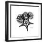 Gray Starfish 1-Albert Koetsier-Framed Art Print