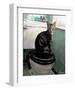 Gray Tiger Cat on the Toilet-Robert Mcclintock-Framed Art Print