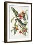 Gray Tyrant-John James Audubon-Framed Art Print