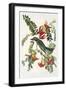 Gray Tyrant-John James Audubon-Framed Art Print