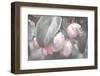 Gray Velvet I-Judy Stalus-Framed Photographic Print