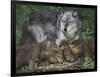 Gray Wolf and Pups-DLILLC-Framed Photographic Print