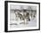 Gray Wolf (Canis Lupus), Canidae, Drawing-null-Framed Giclee Print