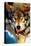 Gray Wolf Close-Up-null-Stretched Canvas