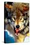 Gray Wolf Close-Up-null-Stretched Canvas