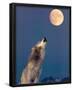 Gray Wolf Howling at Moon-null-Framed Poster