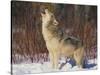 Gray Wolf Howling in Snow-DLILLC-Stretched Canvas